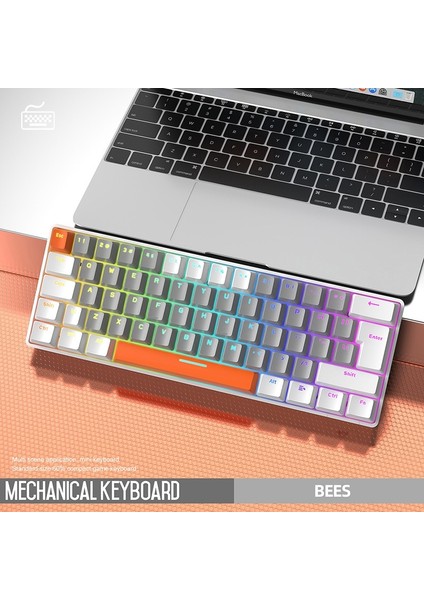 T60 Mini Rgb Oyun Klavyesi Gaming Mekanik 62 Tuşlu 18 Rgb LED USB Tip-C Kablosu