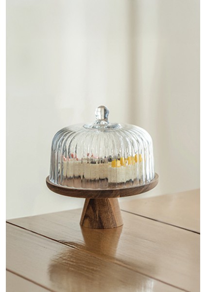 Lion Akasya Standlı Cam Kek Fanusu Ayaklı 28 cm Dev Boy fiyatları
