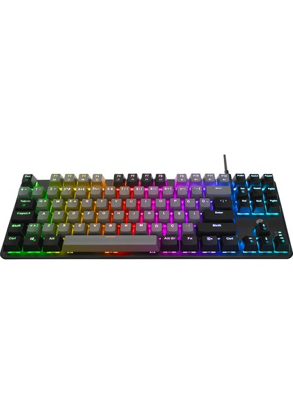 eMachines EAK87 Gri/Siyah USB RGB Backlight RED SWITCH Mekanik Q 87 Tuşlu TKL Gaming Klavye modelleri