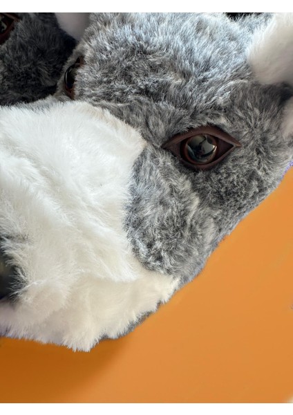 Husky Gri Erkek Hayvanlı Panduf