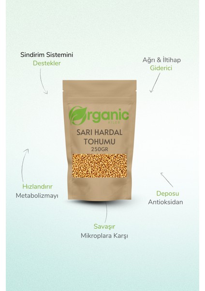 Doğal Sarı Hardal Tohumu 250 gr Elenmiş & Katkısız Taze Mahsül fiyatları