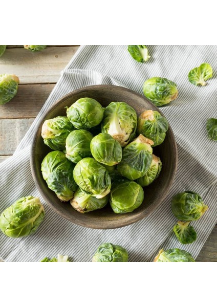 Erkenci Brüksel Lahanası Tohumu Brussel Sprouts Long Island modelleri