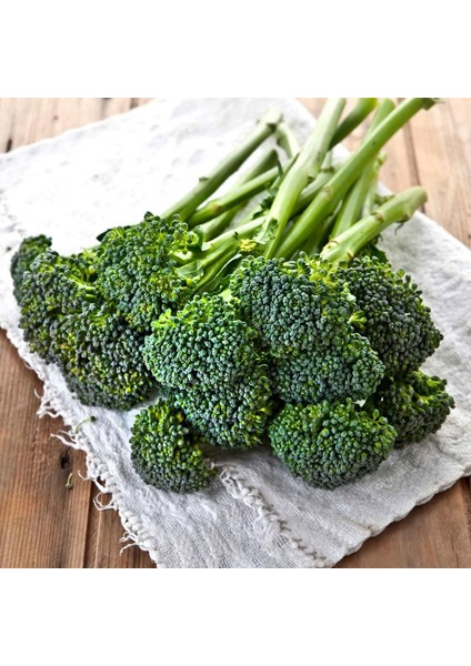 De Cicco Atalık Brokoli Tohumu fiyatları