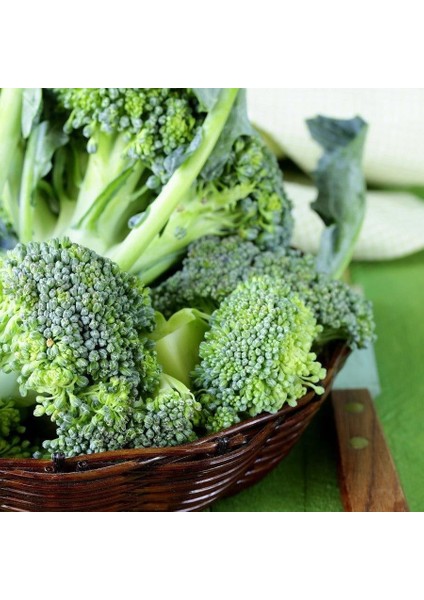 De Cicco Atalık Brokoli Tohumu modelleri