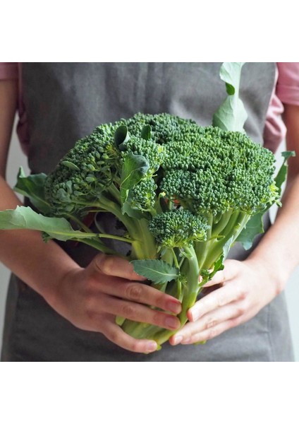 De Cicco Atalık Brokoli Tohumu indirimleri