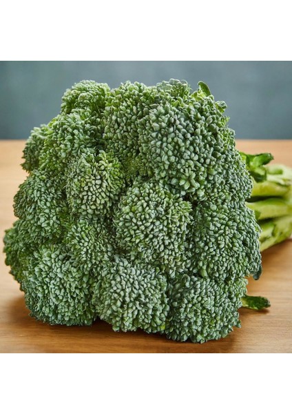 De Cicco Atalık Brokoli Tohumu