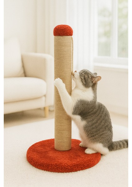 Pet Yuvarlak Kedi Tırmalama Platformu Kırmızı fiyatları