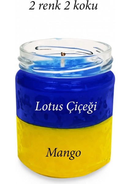 Premium Seri 2 Renk 2 Koku Sarı Lacivert Beş Yıldız Kavanoz Mum 210 cc - fiyatları