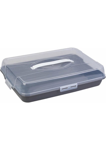 Dikdörtgen Borcam Taşıma Kutusu 42X29X9 cm (AK-683)