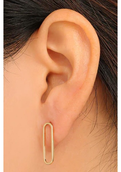 18K Altın Kaplama Ataç Küpe fiyatları