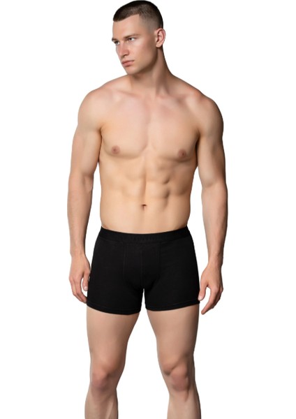 Erkek Boxer Gümüş 3'lü Paket %95 Pamuk %5 Elastan fiyatları