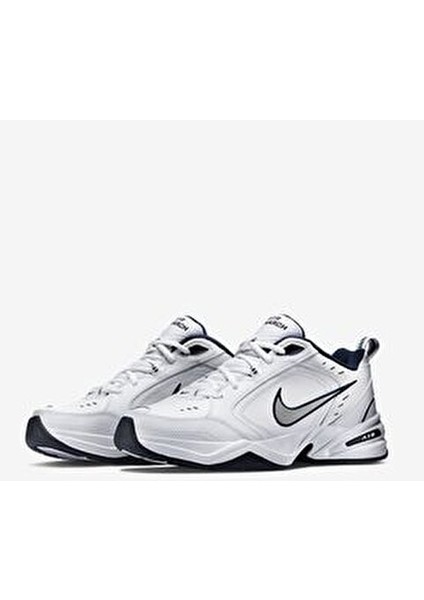 Air Monarch Erkek 415445 102