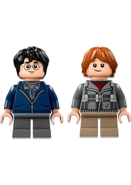 LEGO Harry Potter Aragog Yasak Ormanda 76434 modelleri