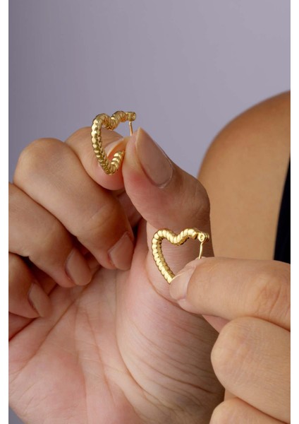 Burgu Model Kalp Altın Kaplama Çelik Kadın Küpe fiyatları