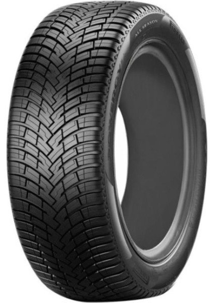 215/60R17 100V Powergy All Season Sf M+S Üretim 2025 Oto 4 Mevsim Lastiği