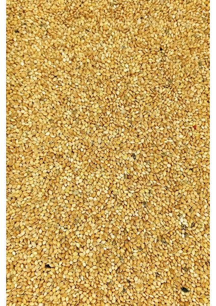 Muhabbet ve Tüm Egzotik Kuşlar Için Doğal Taze Tane Sarı Darı - 1 kg modelleri