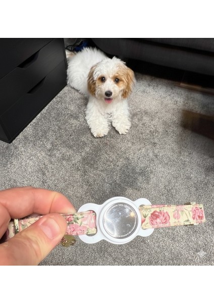 Dayanıklı Tpu Silikon Airtag Tutucu – Köpek ve Kedi Tasmaları Için Airtag Tasma Kılıfı -Beyaz -Tasma Genişlik Seçenekli modelleri
