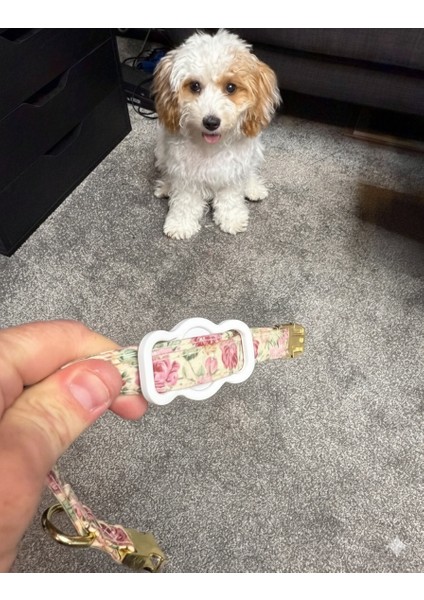 Dayanıklı Tpu Silikon Airtag Tutucu – Köpek ve Kedi Tasmaları Için Airtag Tasma Kılıfı -Beyaz -Tasma Genişlik Seçenekli fırsatları