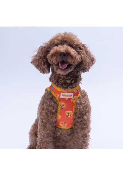 Poodle Air-Mesh Kedi Köpek Göğüs Tasması modelleri