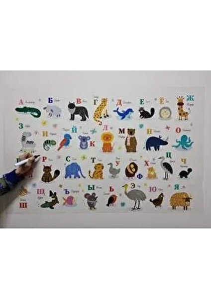 Rusça Alfabe Statik Kağıt Tahta 100X65CM