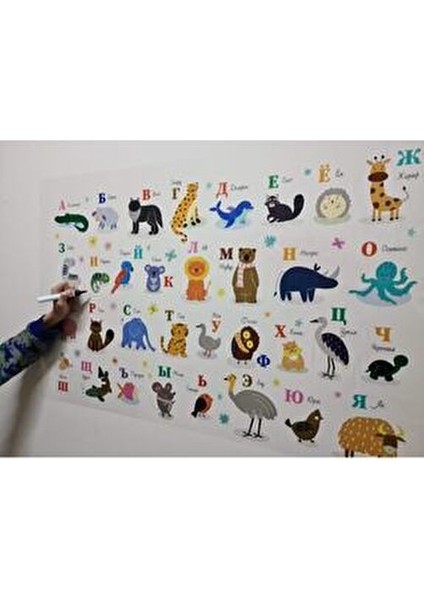 Rusça Alfabe Statik Kağıt Tahta 100X65CM modelleri