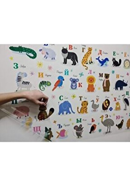Rusça Alfabe Statik Kağıt Tahta 100X65CM fırsatları