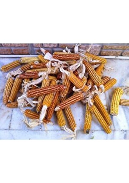 Taş Değirmen Yerli Mısır Unu 1 kg Kendi Üretimimiz Yeni Mahsül fiyatları