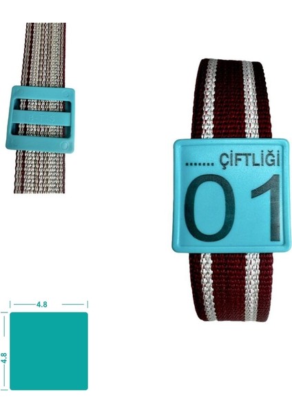 50 Adet Turkuaz Büyükbaş Hayvan Kemer(Tasma) Seti