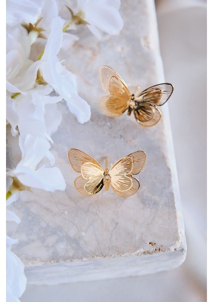 Kelebek Leyla Çelik Küpe Altın Kaplama