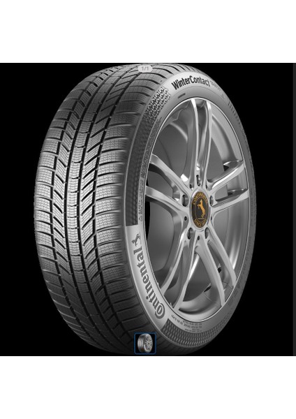 225/55R18 102V Xl TS850P Suv Wınter Co Contınental