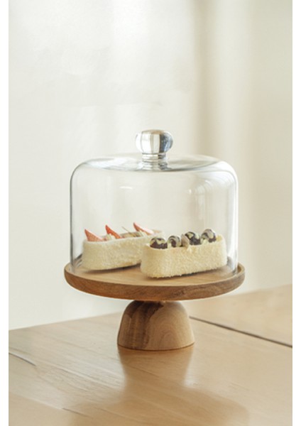 Leo Akasya Standlı Cam Kek Fanusu Ayaklı 22 cm fiyatları