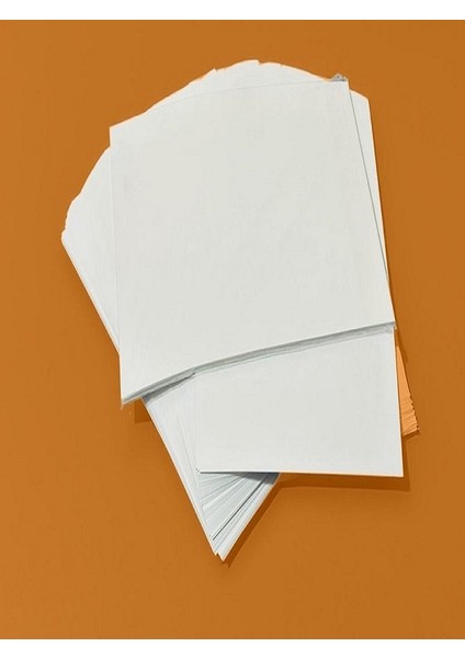 100 Adet Yapışkanlı Etiket Parlak Kuşe A4 Ebat Premium Serisi fiyatları