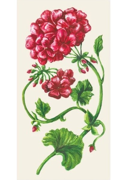 Geranium Guest Napkin - Pack Of 16