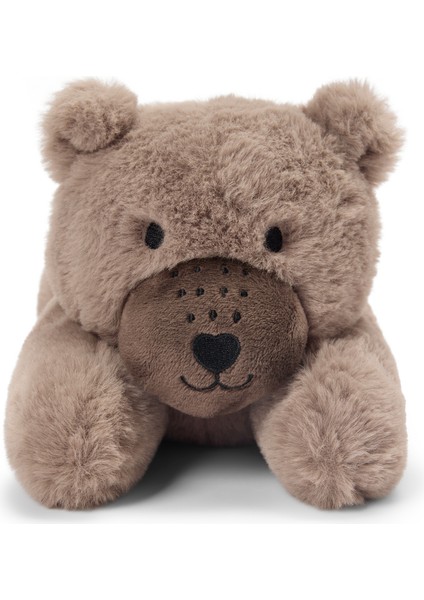 Peluş Oyuncak, Ayı