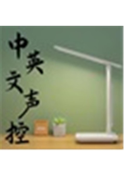 Q11 USB Şarjlı Masa Lambası fiyatları