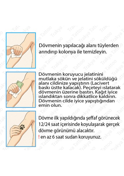 Yarı Kalıcı Dövme Geçici Aslan Dövmesi MGZ-043 modelleri