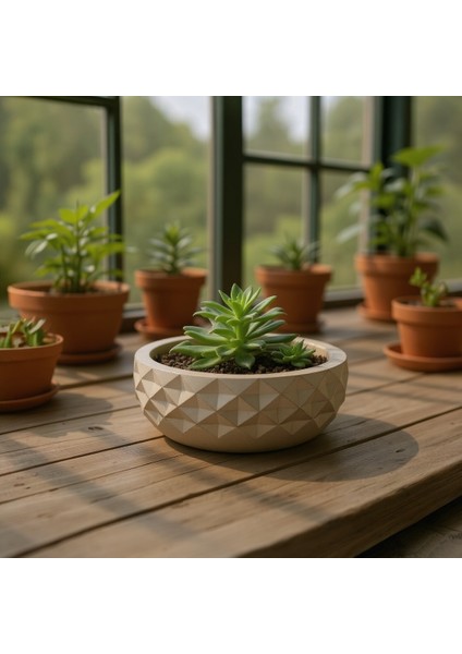 Piramit Desenli Çok Amaçlı Dekoratif Kase 20X6 cm fiyatları