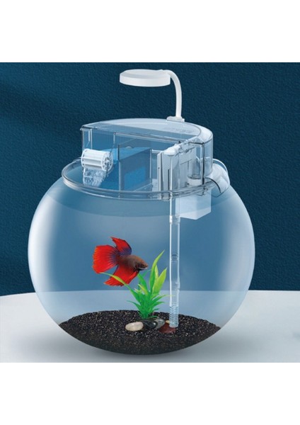 Jeneca Yg-21 Mika Fanus Akvaryum Seti 18,4X18,4X19,9 cm – Modern Tasarım, LED Işıklı ve Filtreli fiyatları