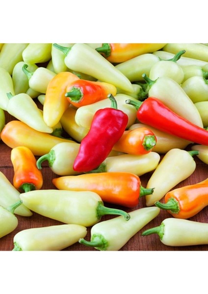 Santa Fe Grande Acı Biber Tohumu