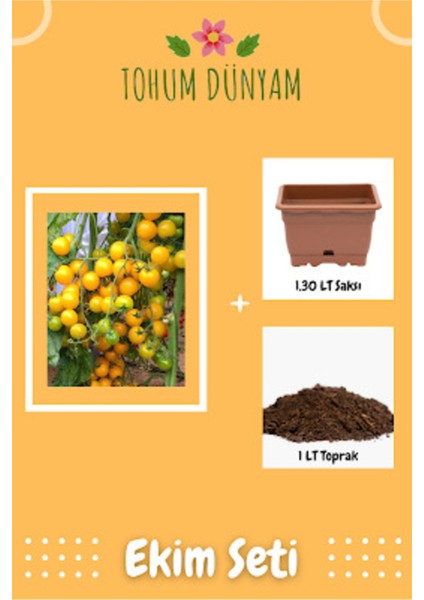 Sarı Cherry Domates Tohumu Ekim Seti