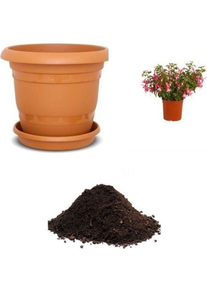 Pembe Küpeli Çiçeği Tohumu Ekim Seti