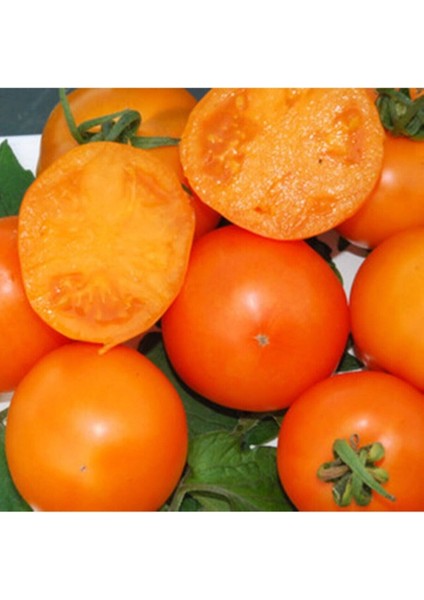 Mandarin Orange Domates Tohumu