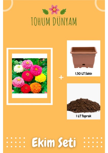 Karışık Renkli Zinnia Çiçek Tohumu Ekim Seti