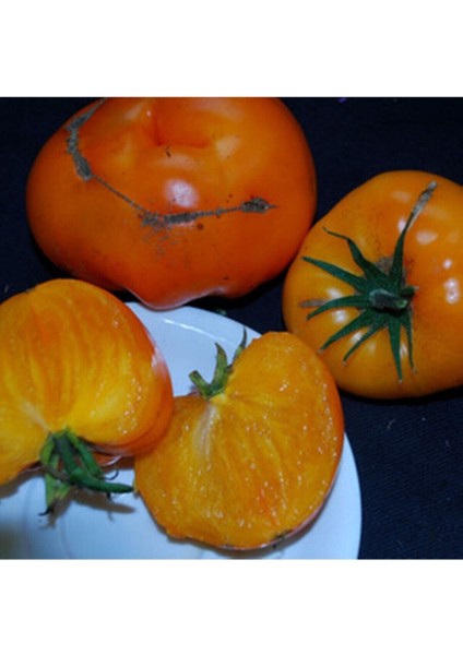 20 Adet Orlov's Yellow Giant Domates Tohumu