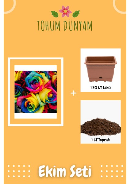 Alaca Gökkuşağı Gül Tohumu Ekim Seti