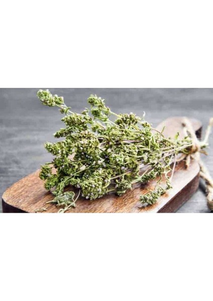 50 Adet Yediveren Kekik Tohumu