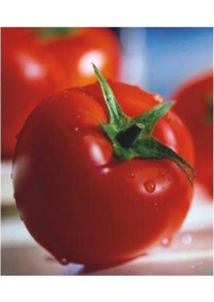 Agrobazaar Sofralık 2274 Domates Tohumu 25 Tohum