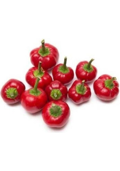 Acı Yakan Top Süs Biberi Tohumu 30 Adet Biber Tohumu