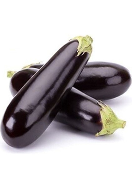 Süper Paket 250 Adet Tohum Nadir Diyarbakır Kemer Patlıcan Tohumu