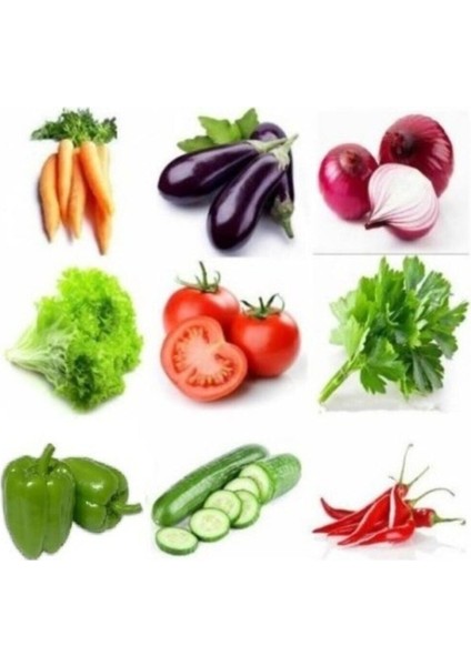 Çeşitli Sebze 9 Farklı Çeşit Sebze Tohumu 60+ Tohum